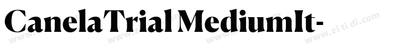 CanelaTrial MediumIt字体转换 CanelaTrial MediumIt字体转换